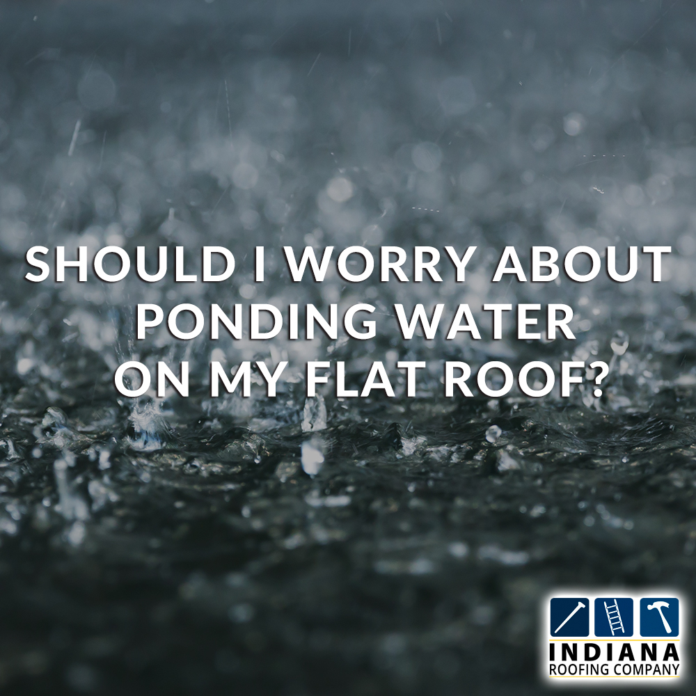 Should I worry about ponding water on my flat roof?